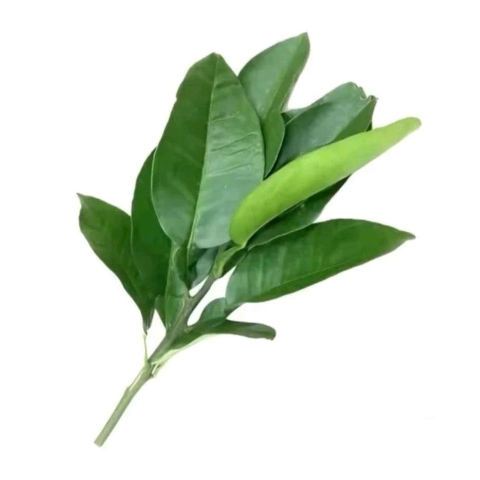 吃不饱