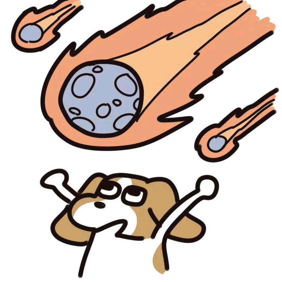 圆月猫