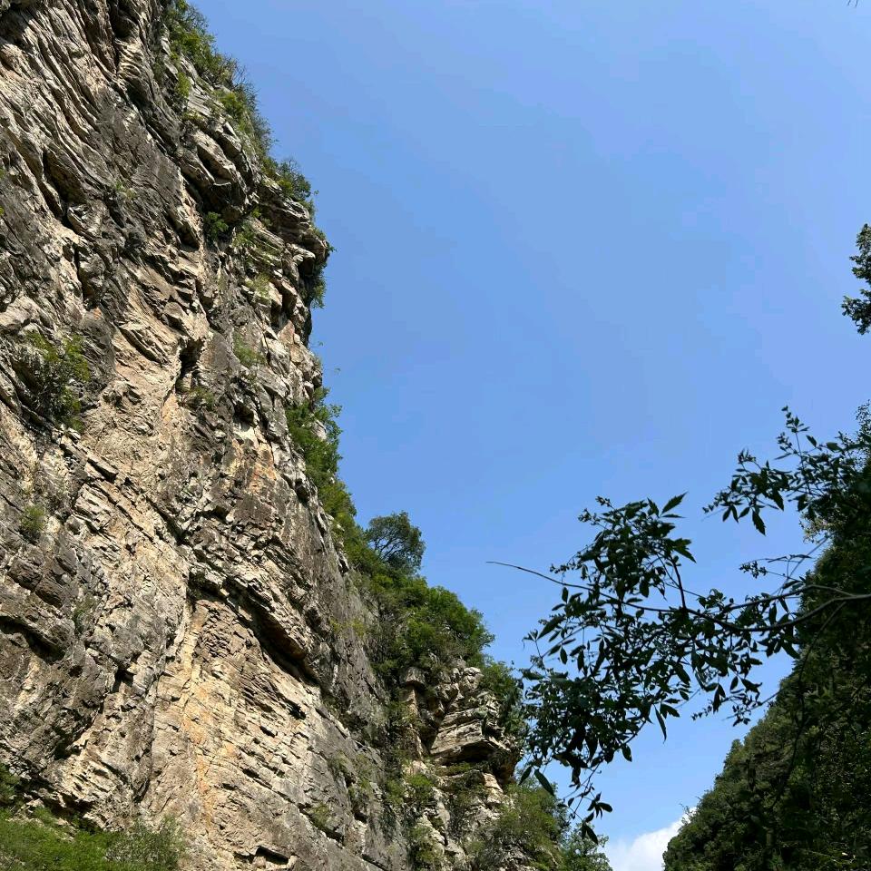 佳琦某人的隔壁老王🦊