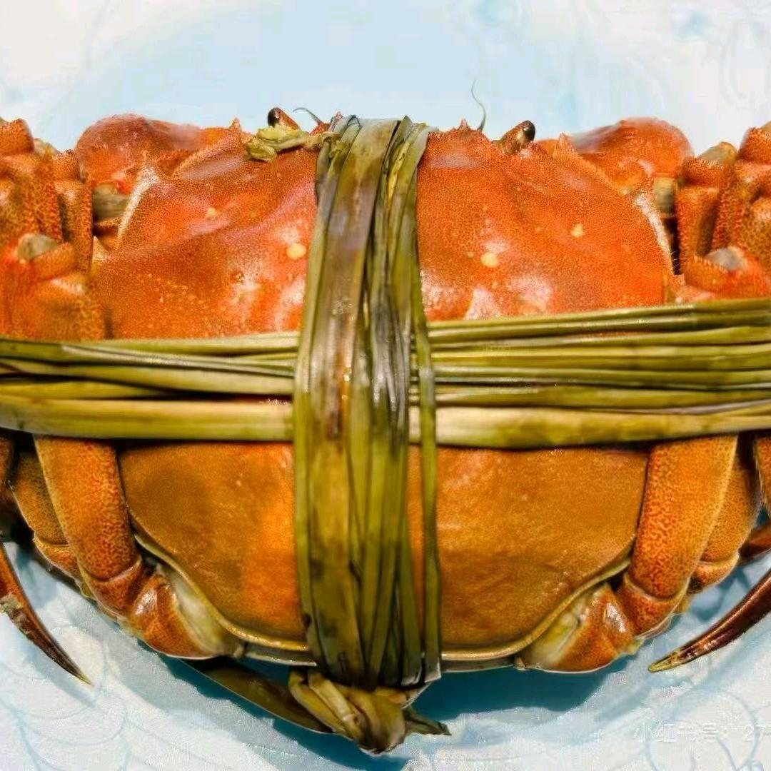 精品螃蟹—残蟹批发，