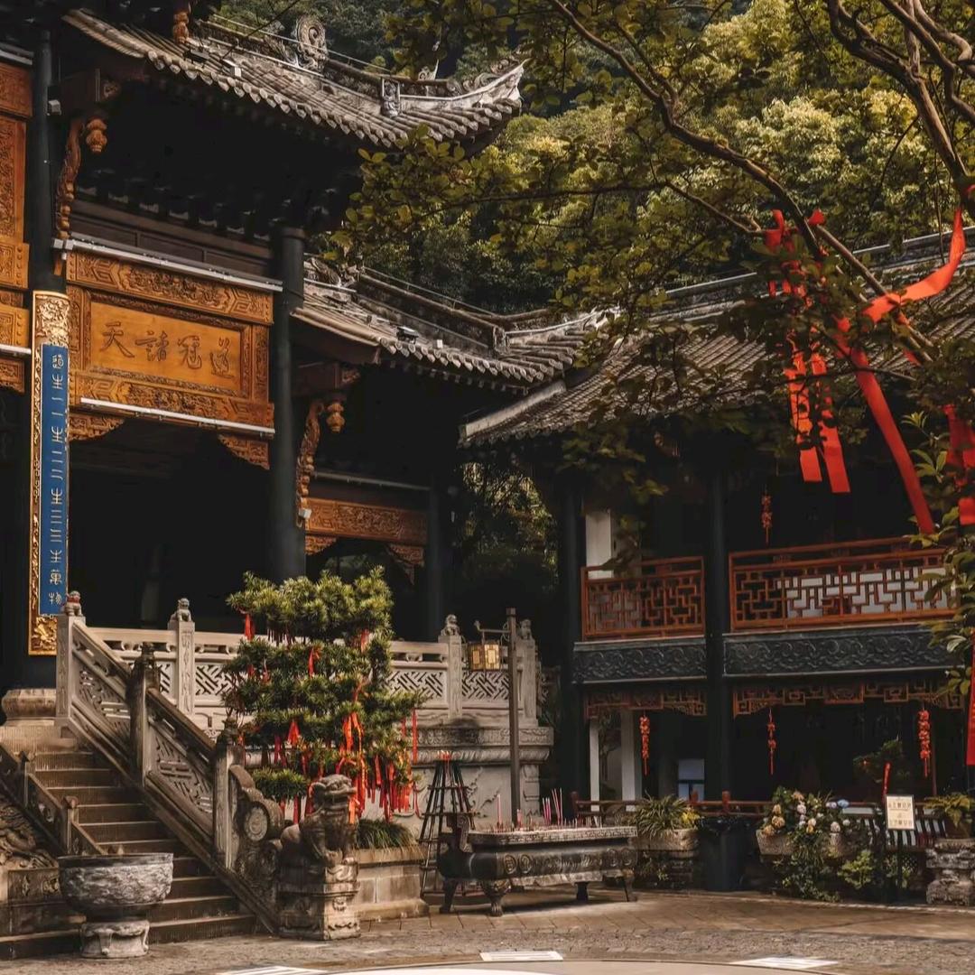 静清居士