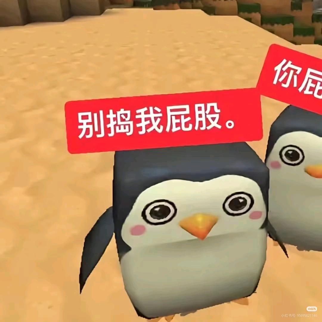 痔疮小乔你老婆.