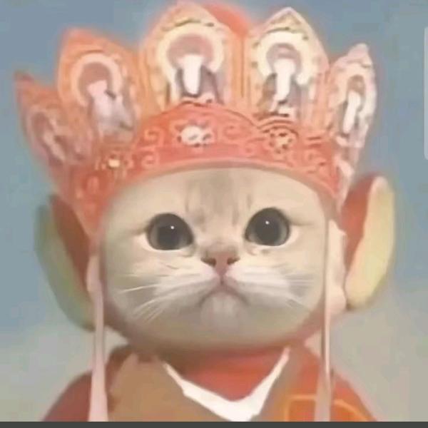 一小新