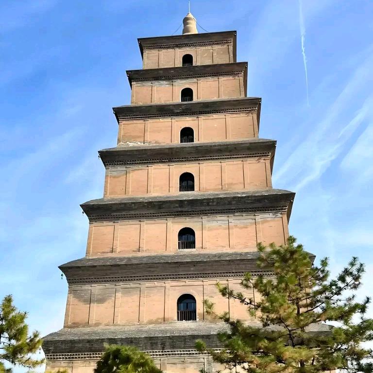 加油（家有）初中生