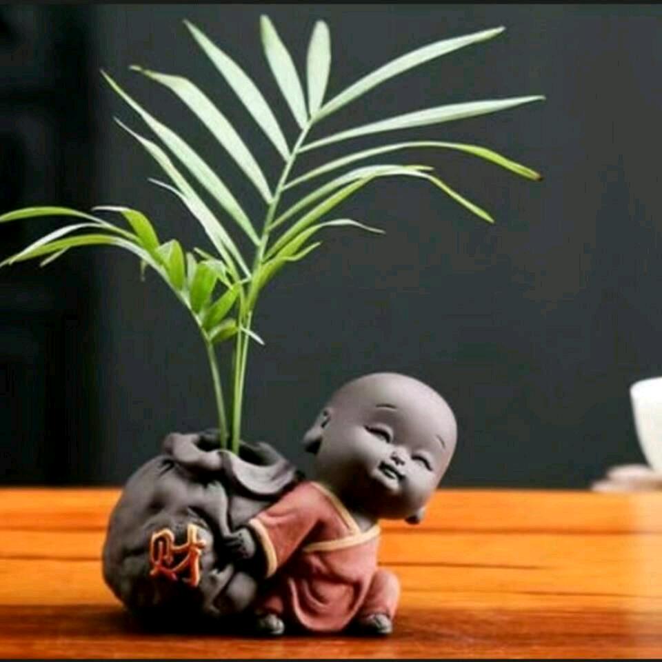 晓别回头，往前看