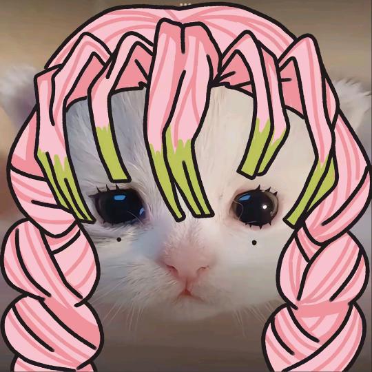 咪狸（求推荐）