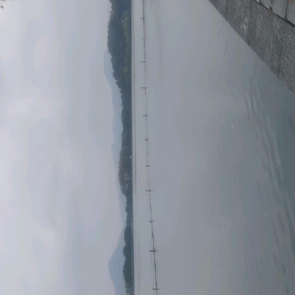 尹海龙