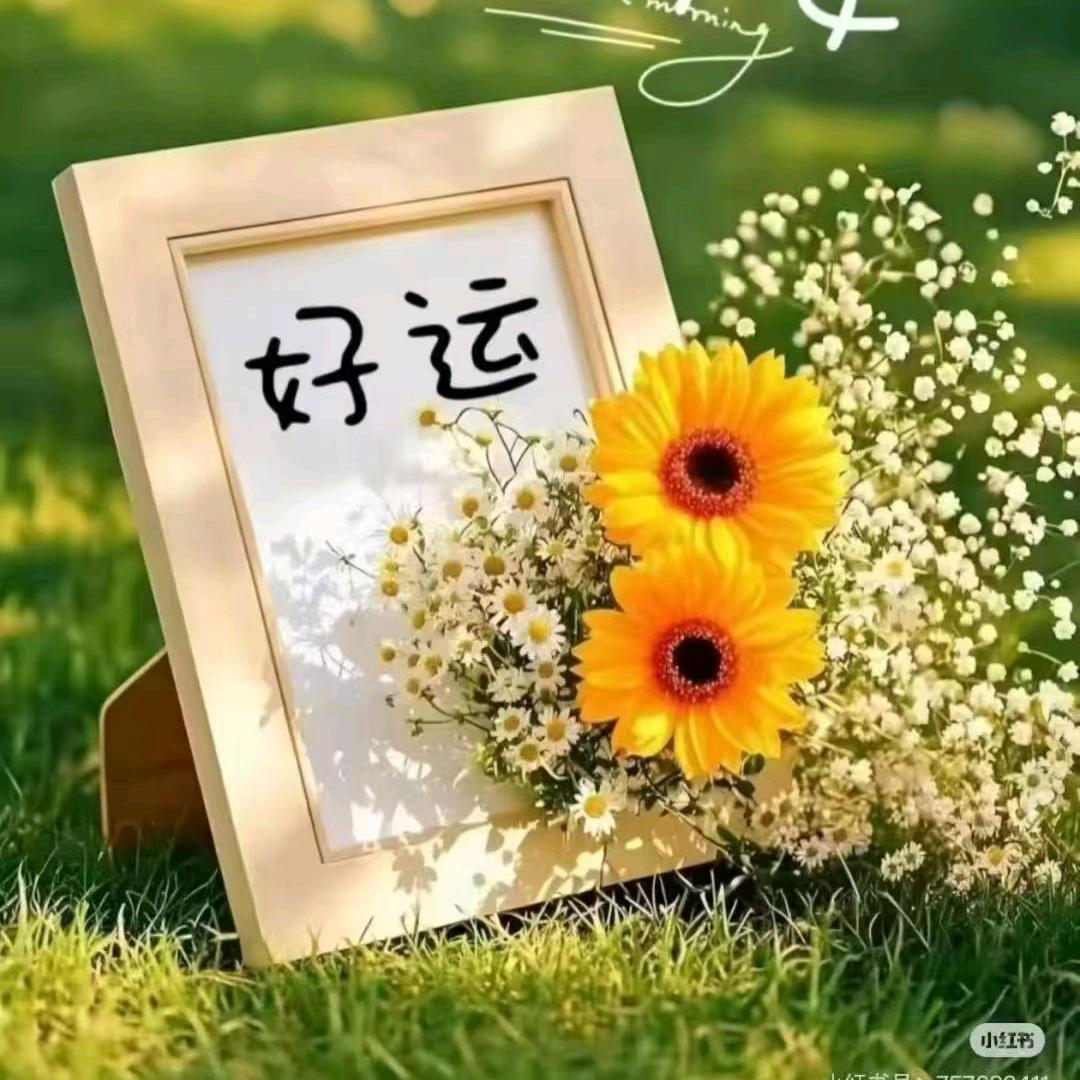 简单就是快乐🐭