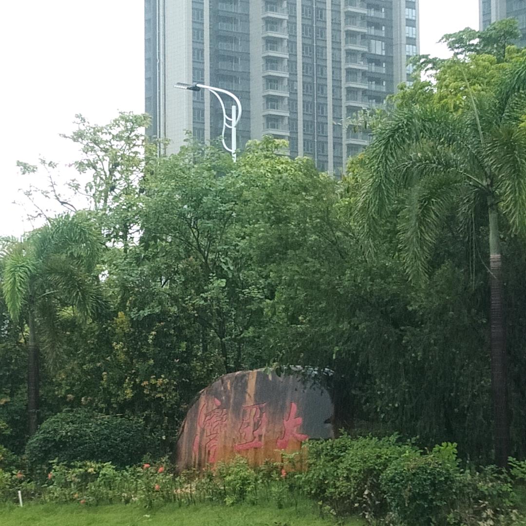 敏敏吖