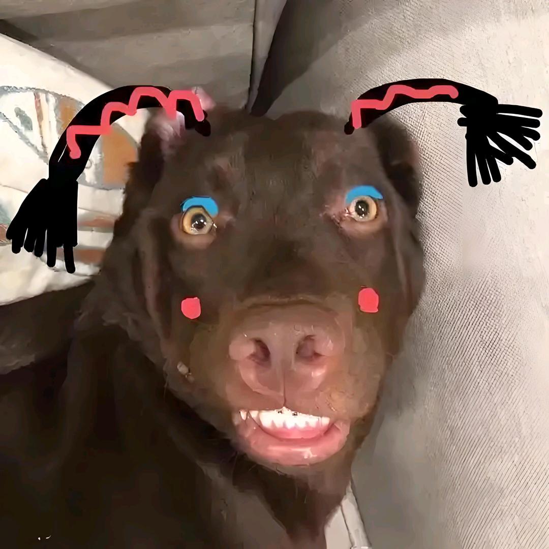 天半世