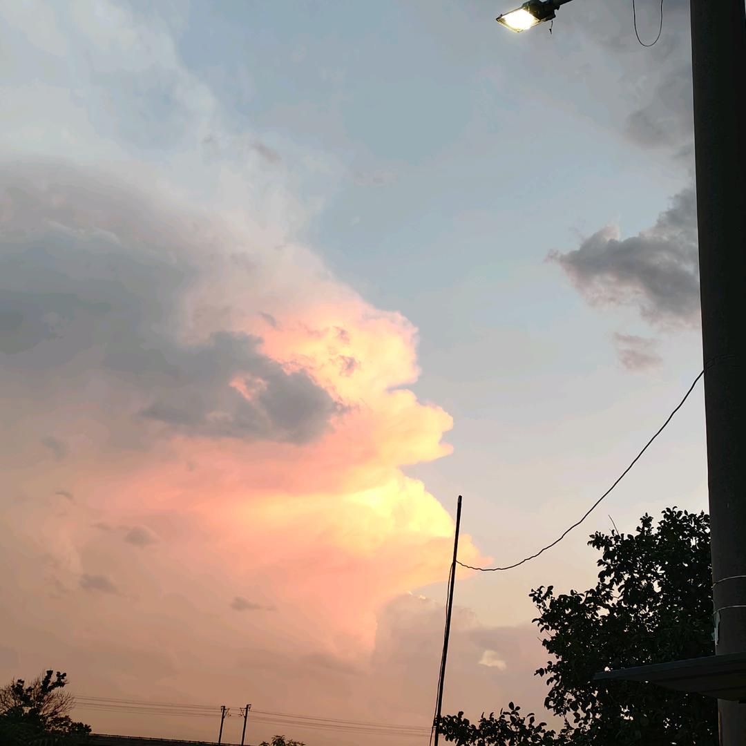 々风♪    ⃢👁︵👁⃢