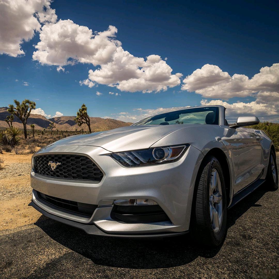 安安汽车钥匙套