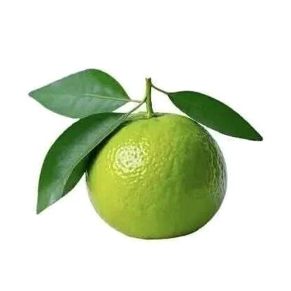 Strawberry｡◕‿◕｡