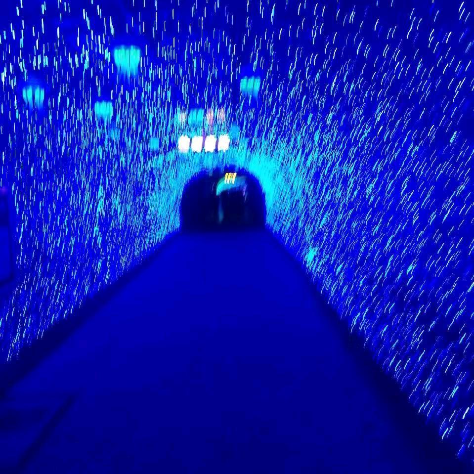 似水流连头像