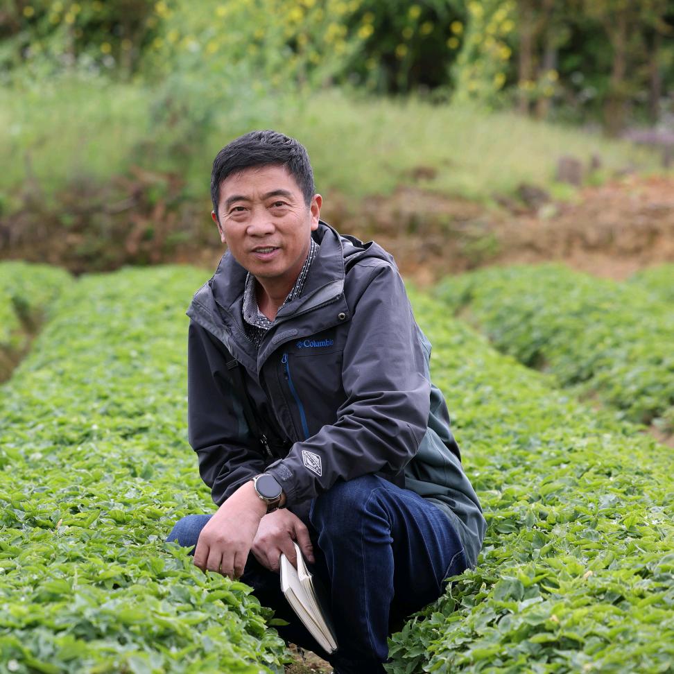 卓豪太子参技术服务部王黔云