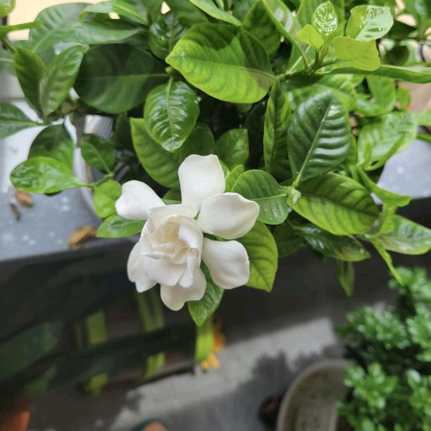 时间比眼睛更能看清一个人