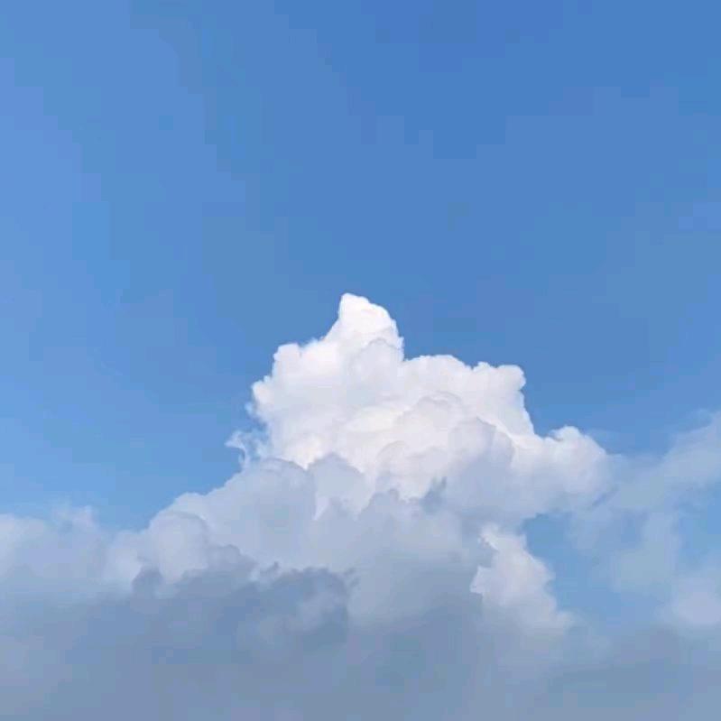 你在干嘛呢？