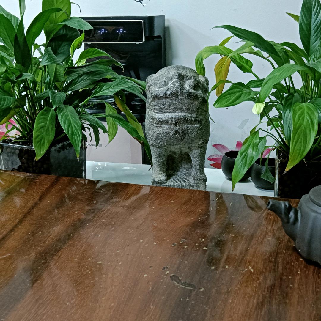 皇椒一号