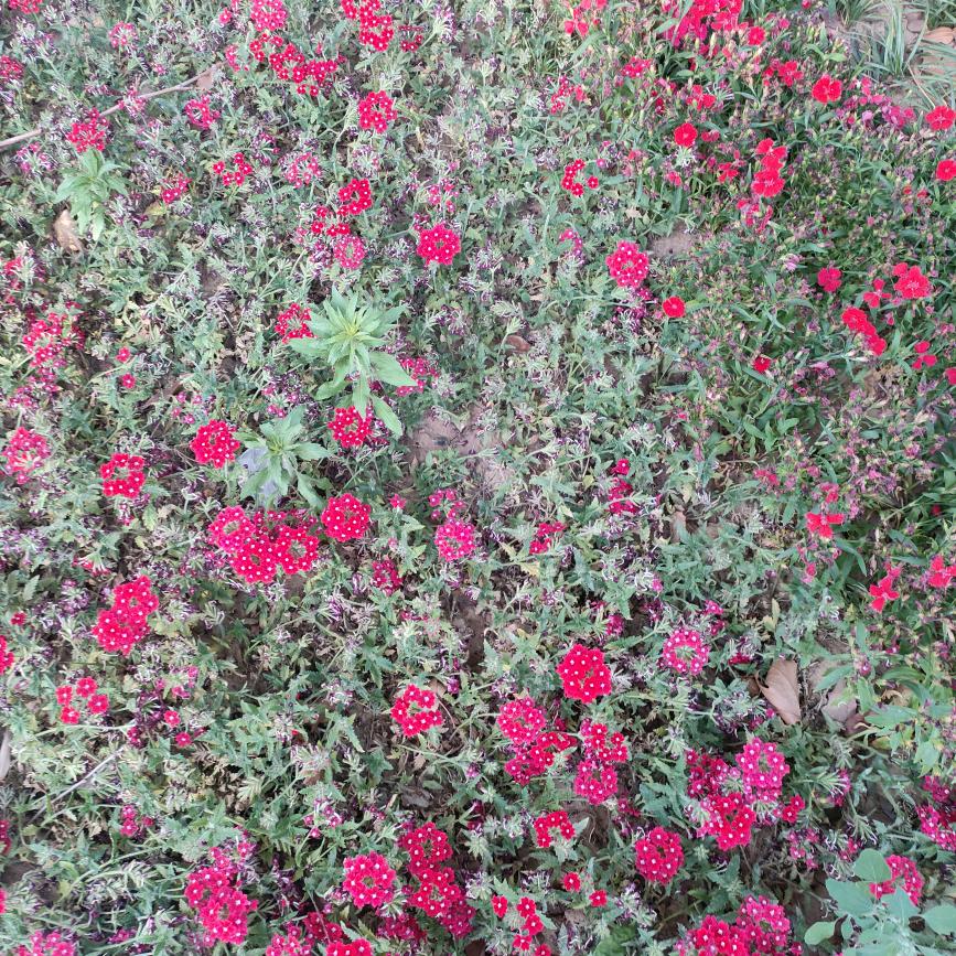 兜兜转转还是你