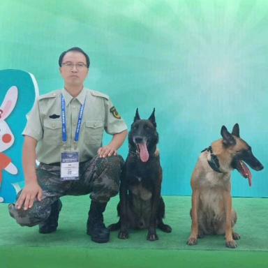 帅克宠物警犬影视