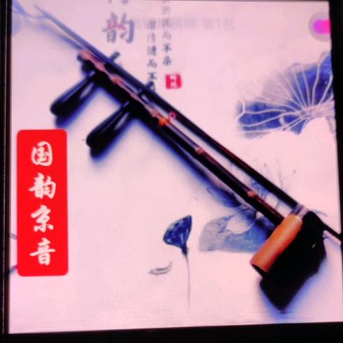 丝竹缘