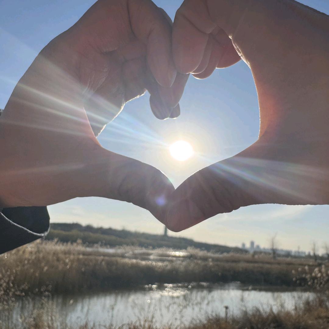 左手右手一个大太阳