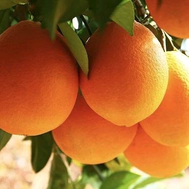 钟百万布草洗涤