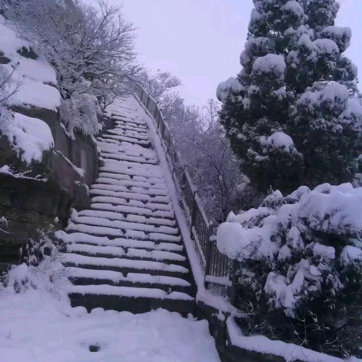 南燕野雪