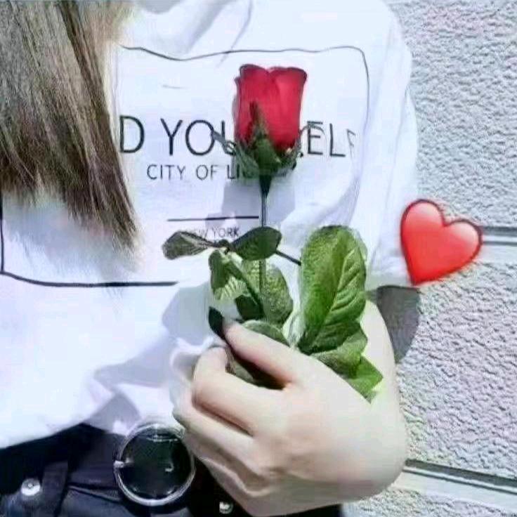 苦心寡心