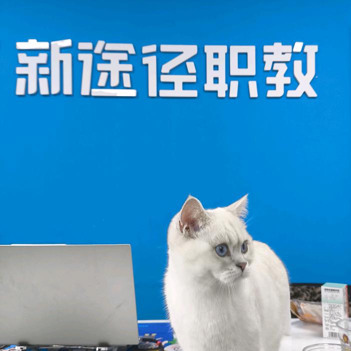 长治新途径周周上岸小喵