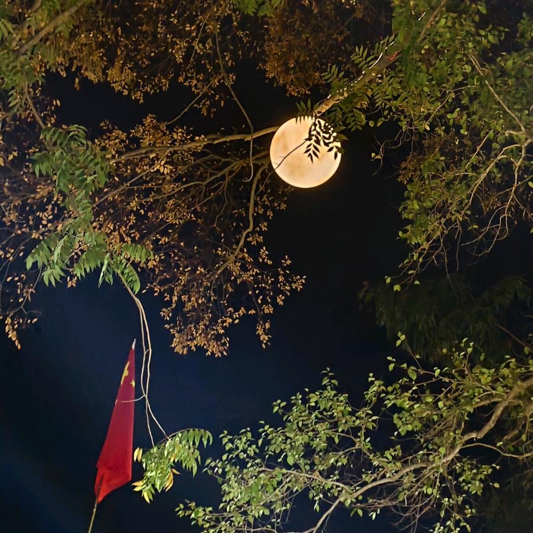 绩溪县弄堂里民宿