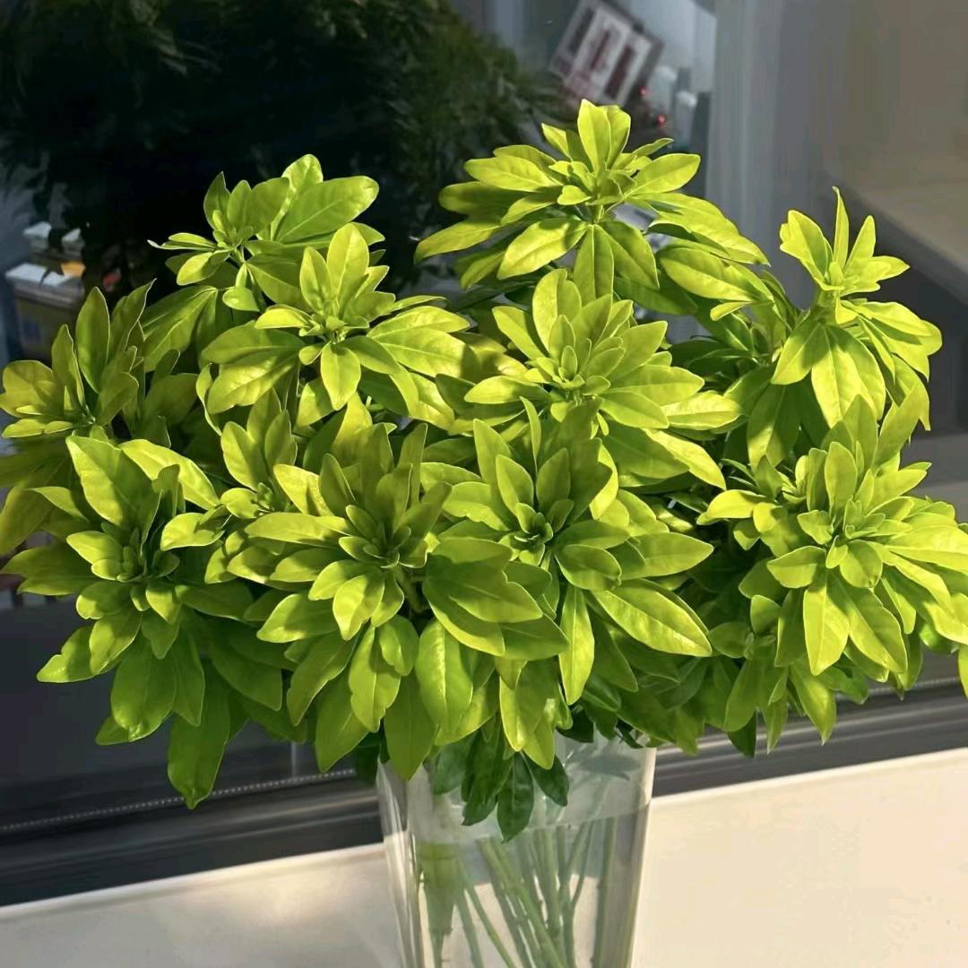 缘涛花卉资材鲜花批发大方店