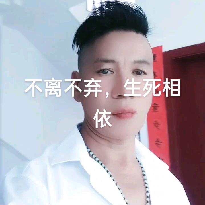 不离不弃