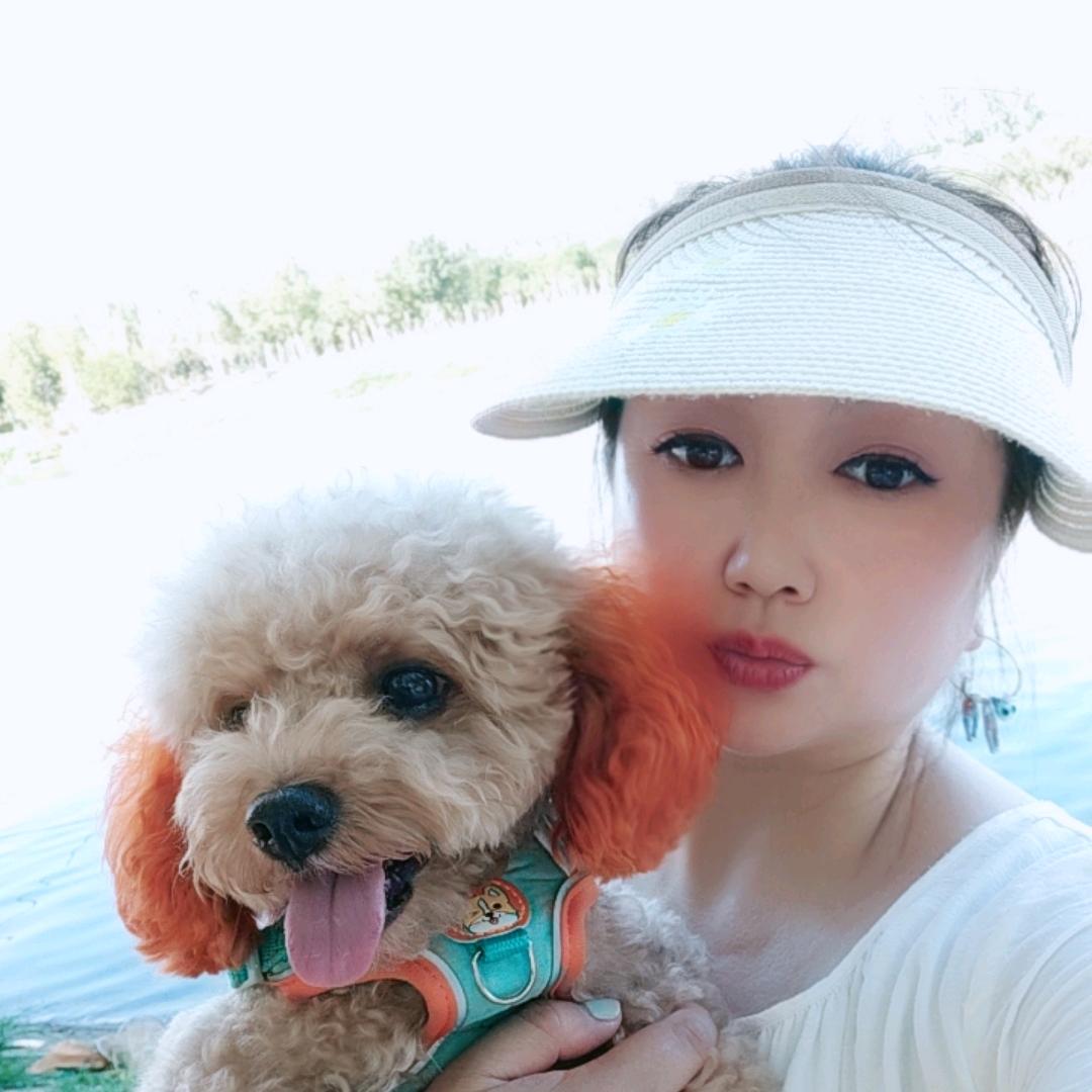 中豪集团 李淼