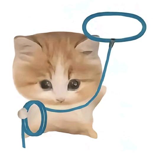 i_i