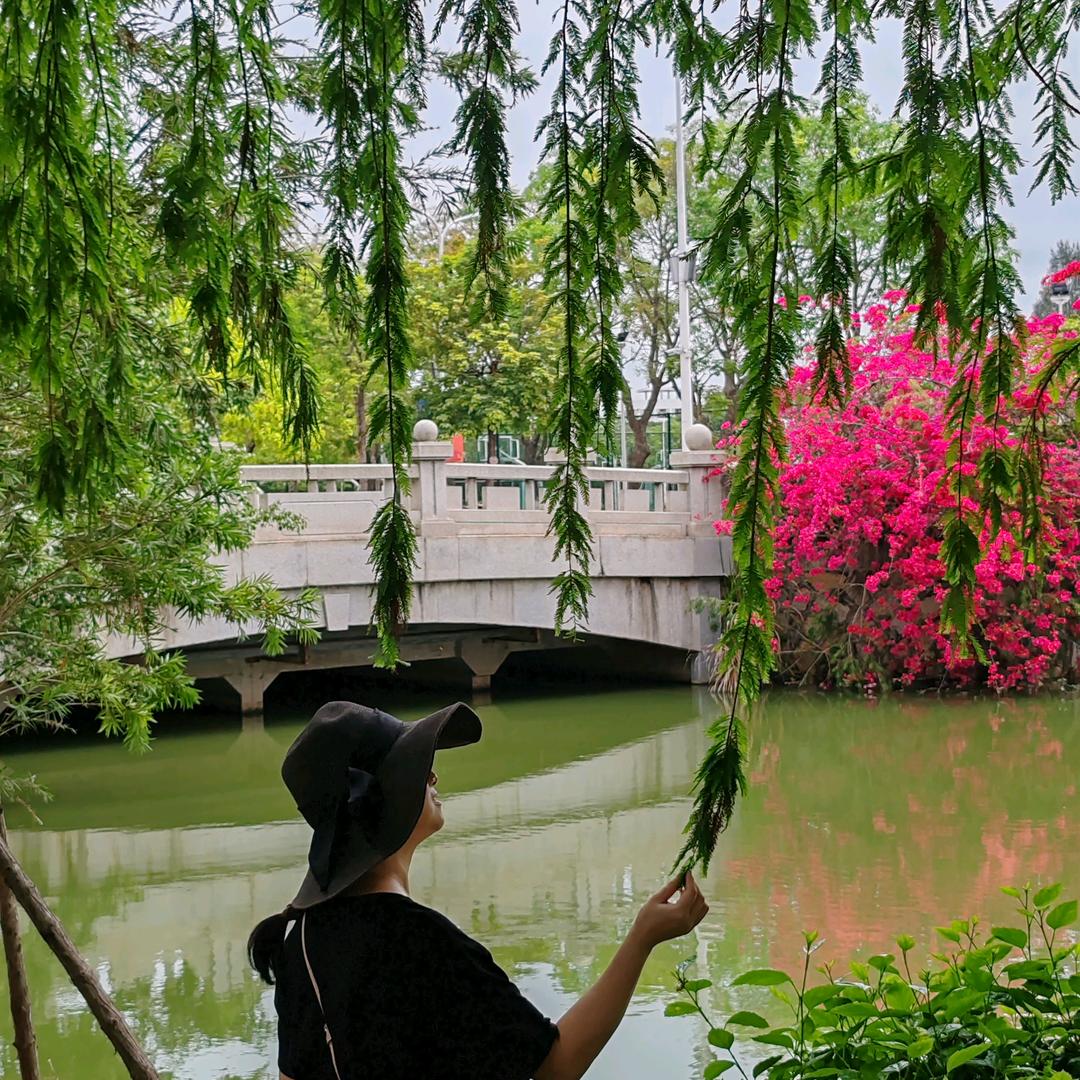 炫炫妈🎤助力号