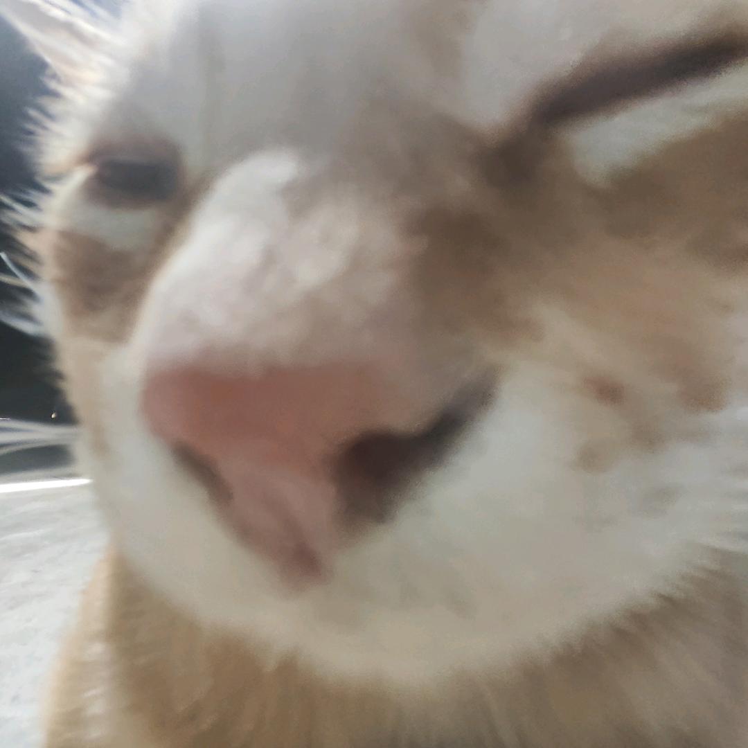 带你去看海