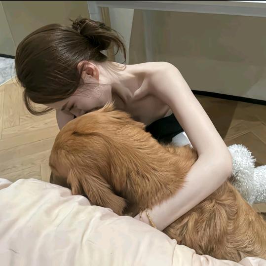为什么要欺负老实人