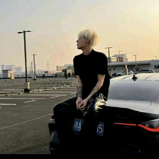 小涵的Mondeo