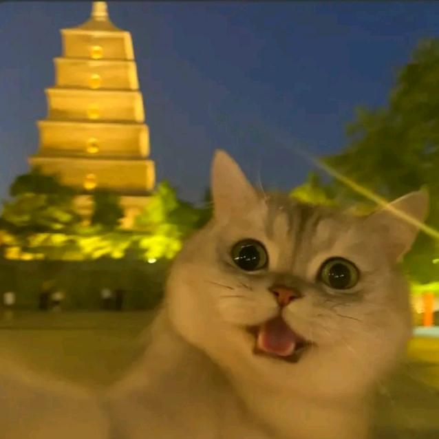 御渊