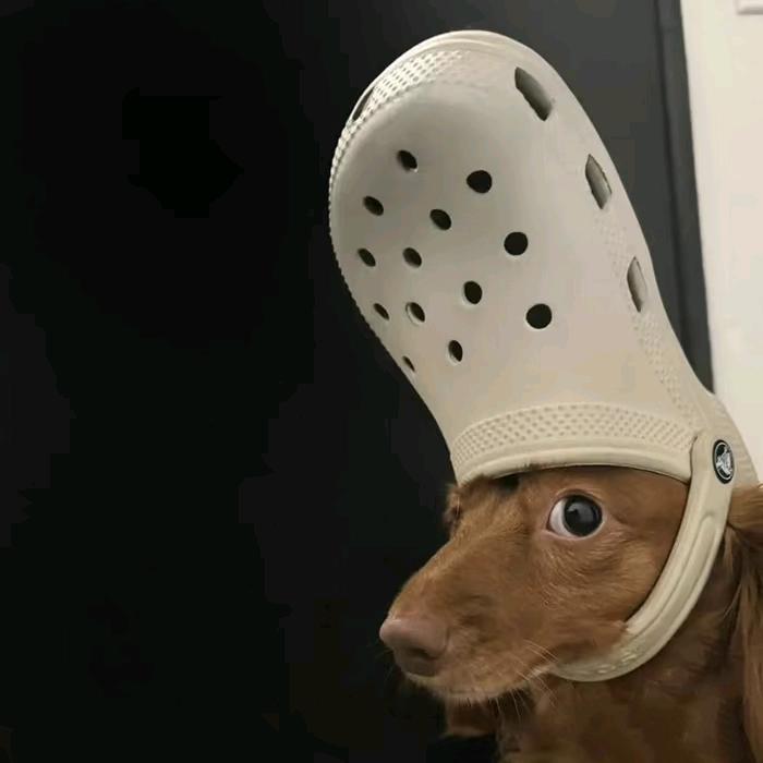 夏云汐📷（可约拍）