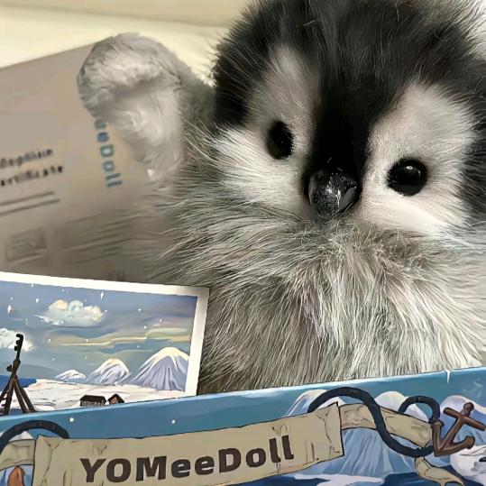 任性的生活（三角洲跑刀）