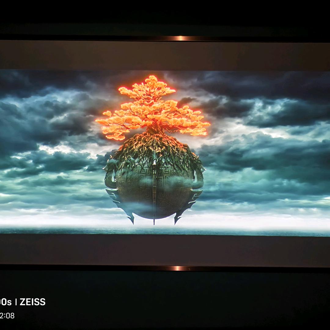 高墙之外的爱恋