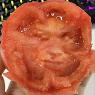 没头没脑小傻包