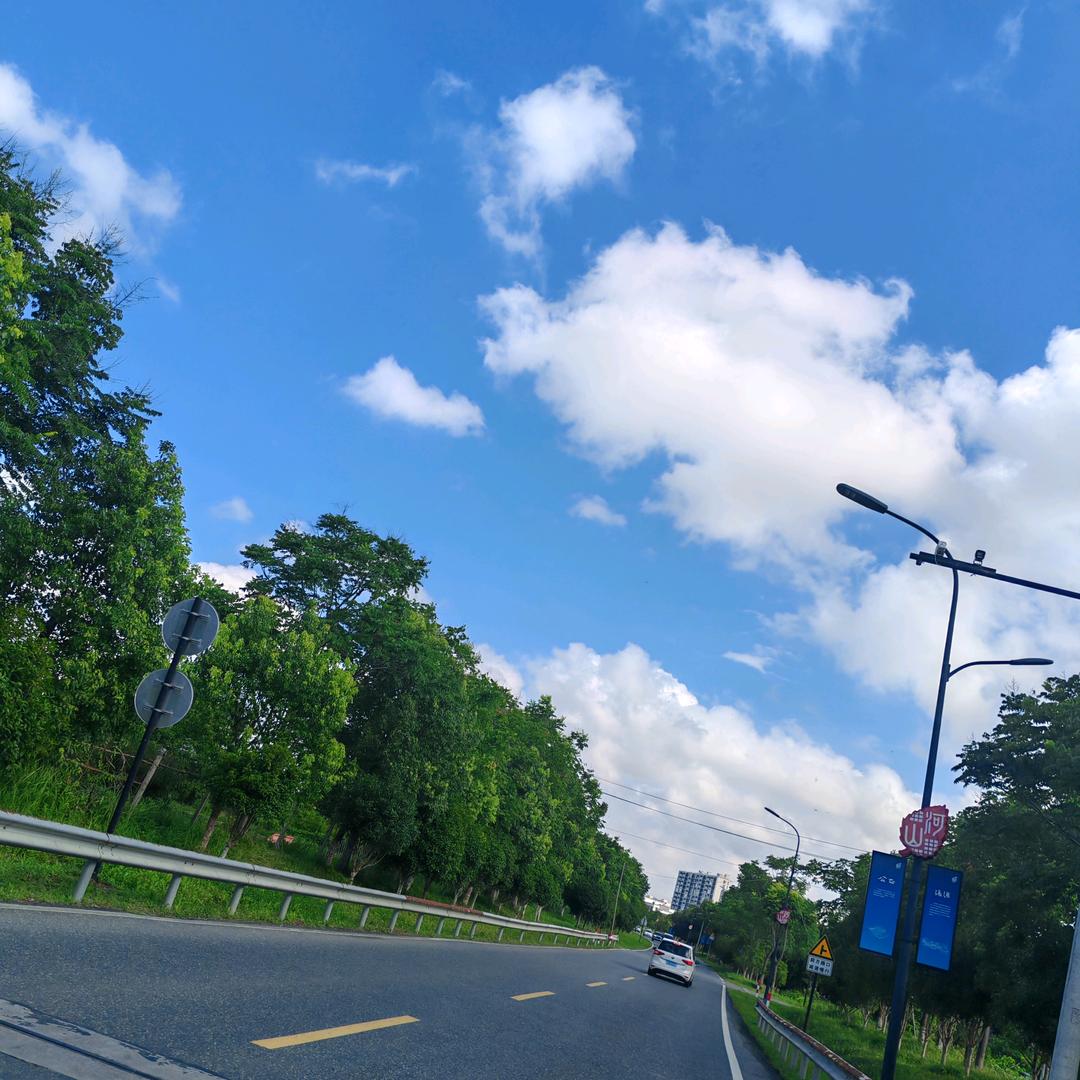 今生的痛永远难忘