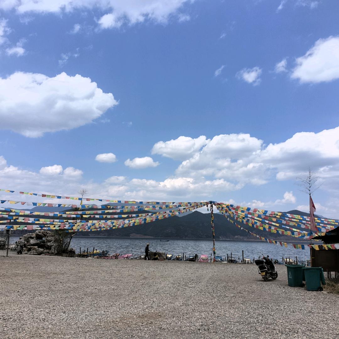 海鸽～🥳搞钱🤑