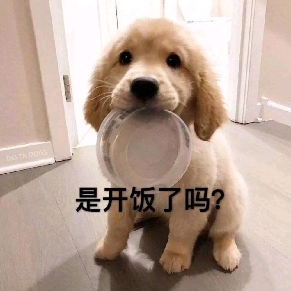 繁华落尽