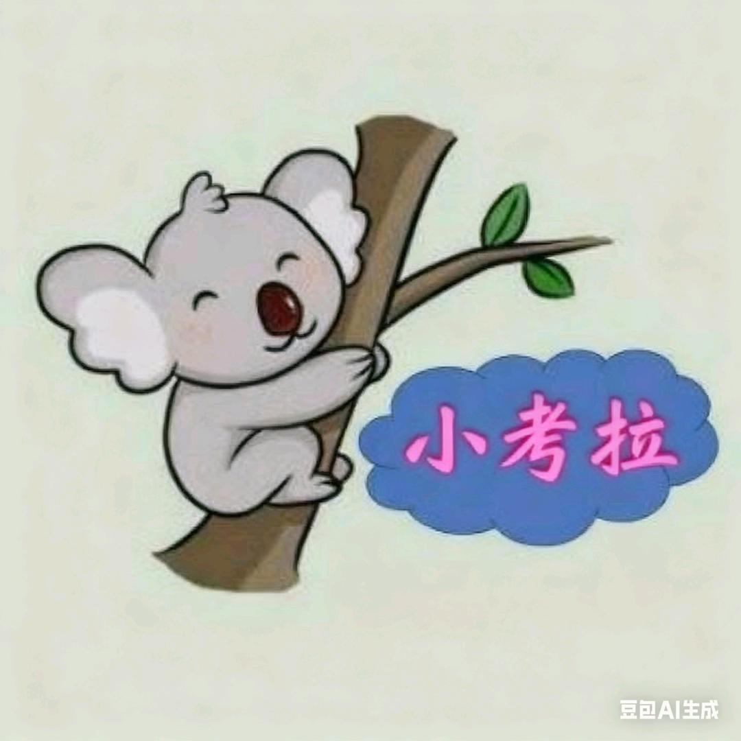 小考拉