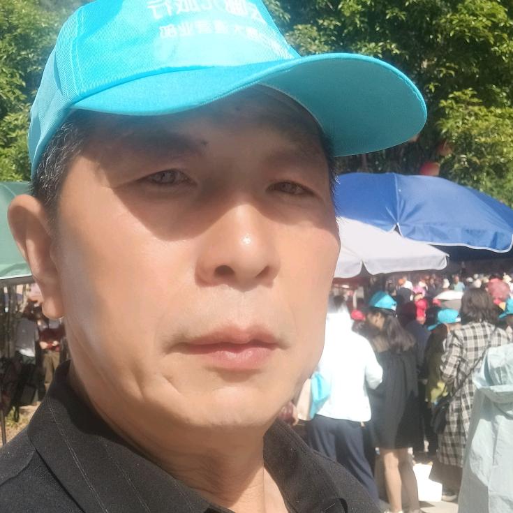 小叶赤楠盆景,