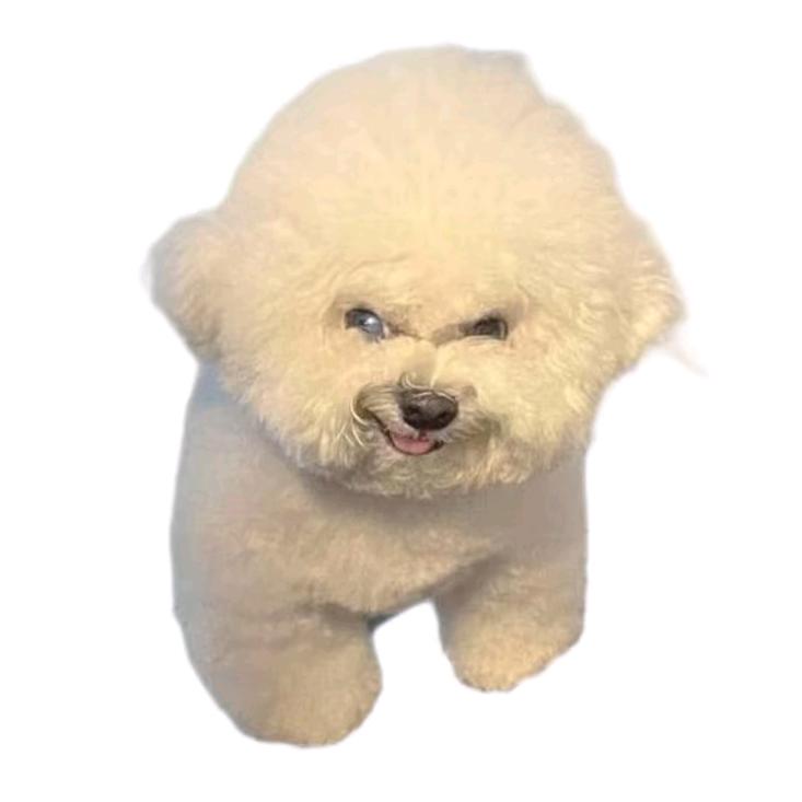 狂龙